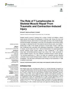 The Role of T Lymphocytes in Skeletal Muscle Repair ...