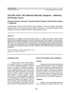 The Role of the Cell Adhesion Molecules (integrins / cadherins) in ...