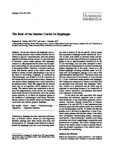 The Role of the Insular Cortex in Dysphagia - Springer Link