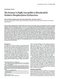 The Striatum Is Highly Susceptible to Mitochondrial ... - Semantic Scholar