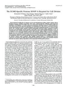 The SUMO-Specific Protease SENP5 Is Required for Cell Division