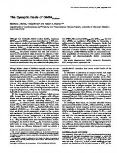 The Synaptic Basis of GABAA,slow - CiteSeerX