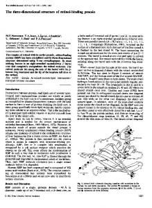 The three-dimensional structure of retinol-binding protein - Europe PMC