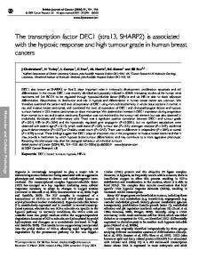 The transcription factor DEC1 - Nature