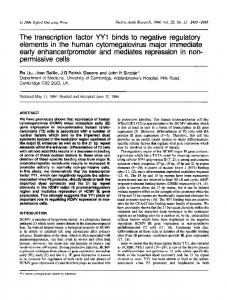 The transcription factor YY1 binds to negative ... - BioMedSearch