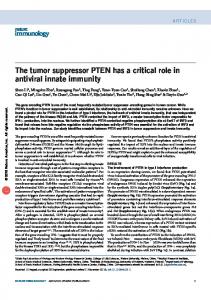 The tumor suppressor PTEN has a critical role in