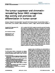 The tumour suppressor and chromatinremodelling ... - BioMedSearch