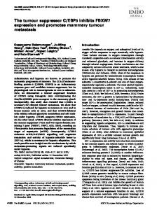 The tumour suppressor C/EBPδ inhibits FBXW7 ...