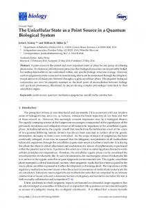 The Unicellular State as a Point Source in a