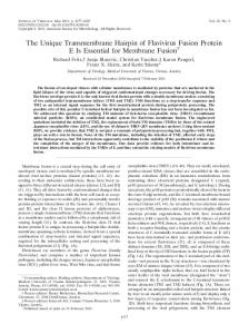 The Unique Transmembrane Hairpin of Flavivirus ... - Journal of Virology