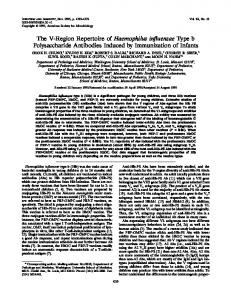 The V-Region Repertoire of Haemophilus influenzae Type b ...