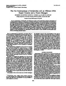 The Vsr Endonuclease of Escherichia coli: an Efficient DNA Repair ...