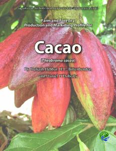 Theobroma cacao - Agroforestry Net