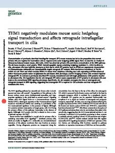 THM1 negatively modulates mouse sonic hedgehog