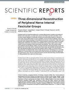 Three-dimensional Reconstruction of Peripheral Nerve Internal ...