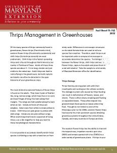 Thrips Management in Greenhouses