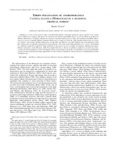 thrips pollination of androdioecious castilla elastica - Semantic Scholar