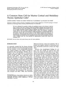 Thymic Epithelial Cells? - NCBI