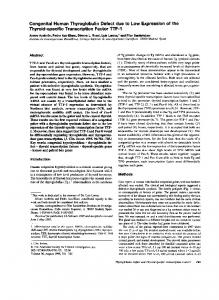 Thyroid-specific Transcription Factor TTF-1 - Csic