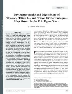 'Tifton 44', and 'Tifton 85' - USDA ARS