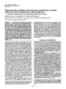 Tissue-specific regulation of bovine heart cytochrome-c oxidase ...