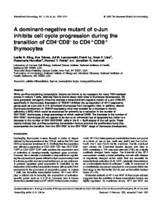 to CD4 CD8 thymocytes