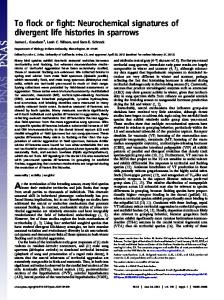 To flock or fight: Neurochemical signatures of divergent life histories ...