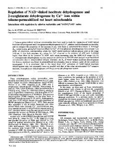 toluene-permeabilized rat heart mitochondria - Europe PMC