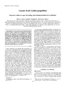 Tomato Fruit Carboxypeptidase - NCBI