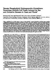 Tomato Phospholipid Hydroperoxide Glutathione ... - Plant Physiology