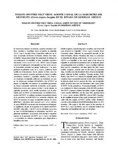 (Tomato spotted wilt virus). - SciELO