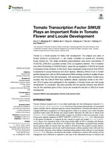 Tomato Transcription Factor SlWUS Plays an ... - Semantic Scholar