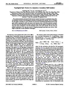 Topological Spin Texture in a Quantum