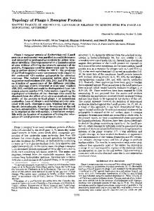 Topology of Phage X Receptor Protein - The Journal of Biological