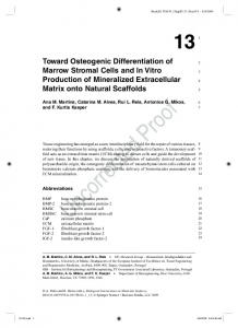 Toward Osteogenic Differentiation of Marrow Stromal Cells and ... - Core