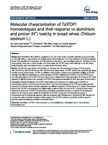 toxicity in bread wheat - CSIC Digital