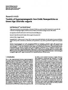 Toxicity of Superparamagnetic Iron Oxide Nanoparticles on