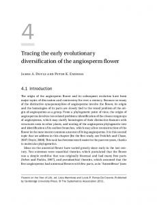 Tracing the early evolutionary diversification of the