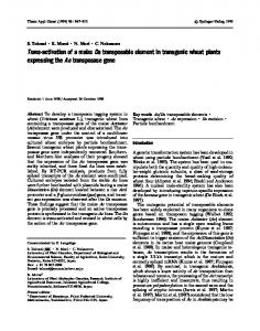 Trans-activation of a maize Ds transposable element in ... - Springer Link