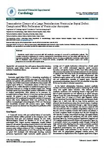 Transcatheter Closure of a Large Postinfarction Ventricular Septal