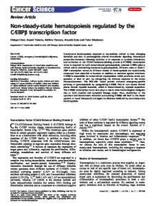 transcription factor