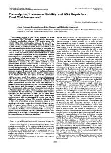 Transcription, Nucleosome Stability, and DNA Repair in a Yeast ...