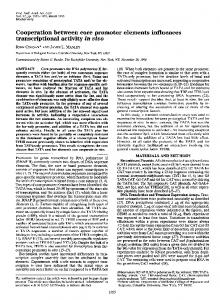 transcriptional activity in vivo - NCBI