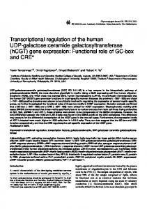 Transcriptional regulation of the human UDP-galactose:ceramide ...