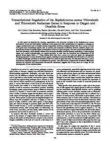 Transcriptional Regulation of the ... - Journal of Bacteriology