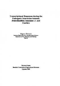 Transcriptional Responses during the Pathogenic Interaction between ...