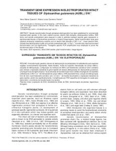 TRANSIENT GENE EXPRESSION IN