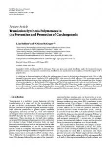 Translesion Synthesis Polymerases in the Prevention and Promotion ...