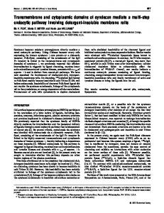 Transmembrane and cytoplasmic domains of ... - Semantic Scholar