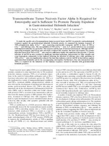 Transmembrane Tumor Necrosis Factor Alpha Is Required for ...